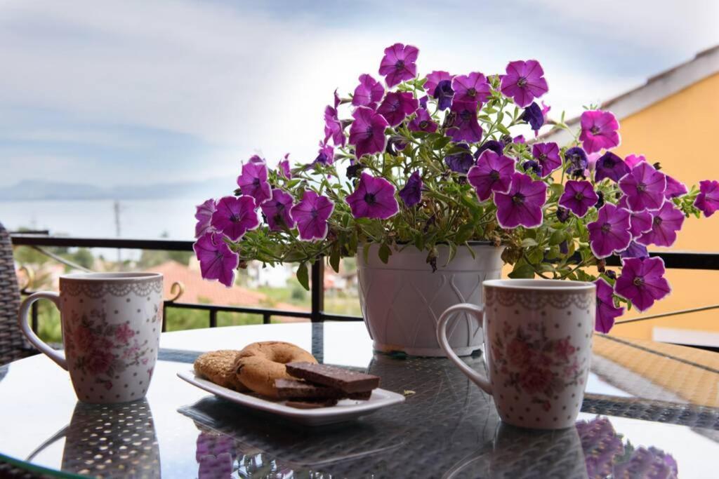 Seaview Cottage - Calmare Petrití المظهر الخارجي الصورة