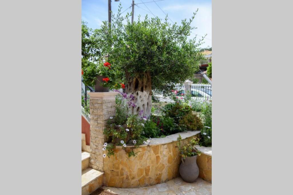 Seaview Cottage - Calmare Petrití المظهر الخارجي الصورة